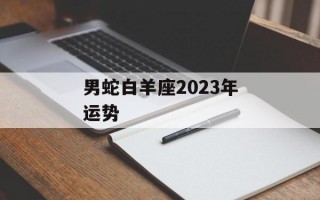 男蛇白羊座2024年运势