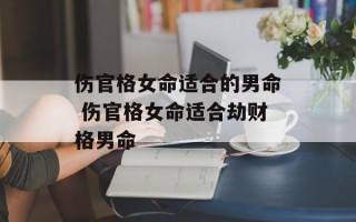 伤官格女命适合的男命 伤官格女命适合劫财格男命