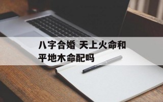 八字合婚 天上火命和平地木命配吗