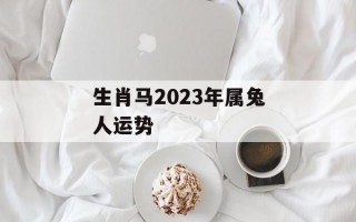 生肖马2024年属兔人运势