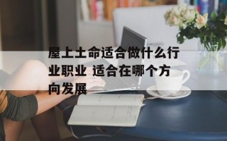 屋上土命适合做什么行业职业 适合在哪个方向发展