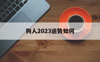 狗人2024运势如何