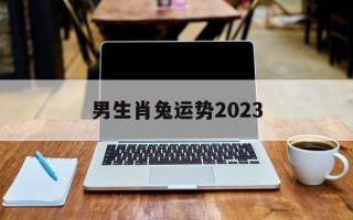 男生肖兔运势2024