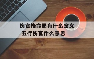 伤官格命局有什么含义 五行伤官什么意思