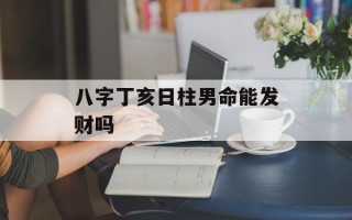 八字丁亥日柱男命能发财吗