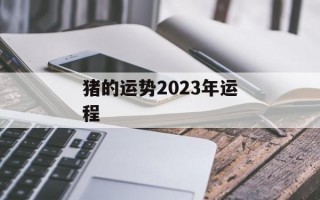 猪的运势2024年运程