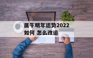 属牛明年运势2024如何 怎么改运