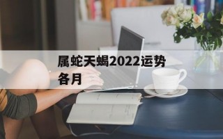 属蛇天蝎2024运势各月