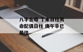 八字合婚 丁未日柱男命配偶日柱 庚午辛巳最佳