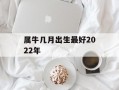 属牛几月出生最好2024年