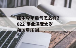 属牛今年运气怎么样2024 事业深受太岁和凶星压制