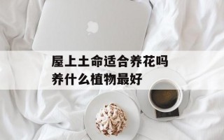 屋上土命适合养花吗 养什么植物最好