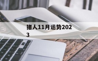 猪人11月运势2024