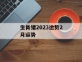 生肖猪2024运势2月运势