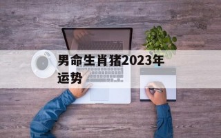 男命生肖猪2024年运势