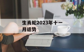 生肖蛇2024年十一月运势