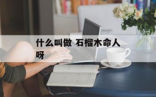 什么叫做 石榴木命人呀