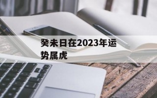 癸未日在2024年运势属虎