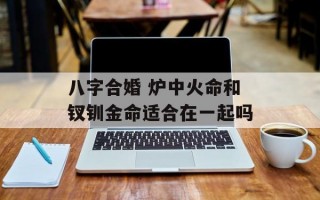 八字合婚 炉中火命和钗钏金命适合在一起吗