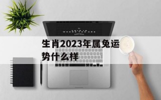 生肖2024年属兔运势什么样