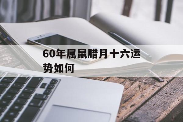 60年属鼠腊月十六运势如何