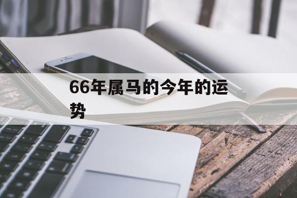 66年属马的今年的运势