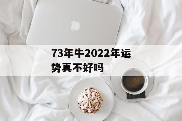 73年牛2024年运势真不好吗