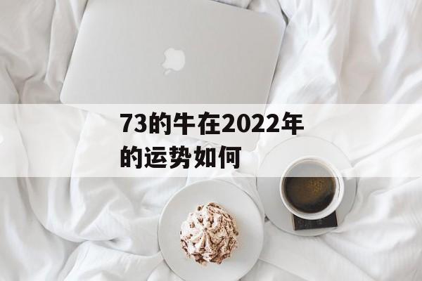 73的牛在2024年的运势如何