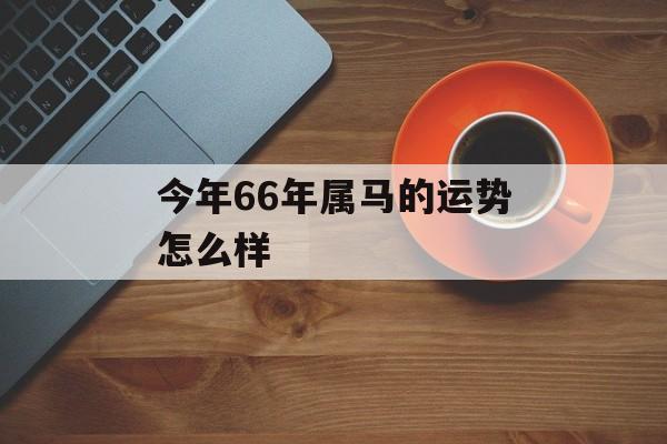 今年66年属马的运势怎么样