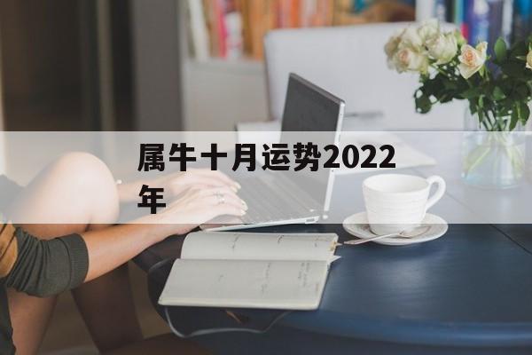 属牛十月运势2024年