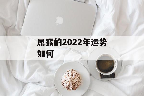 属猴的2024年运势如何