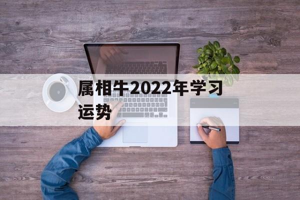 属相牛2024年学习运势