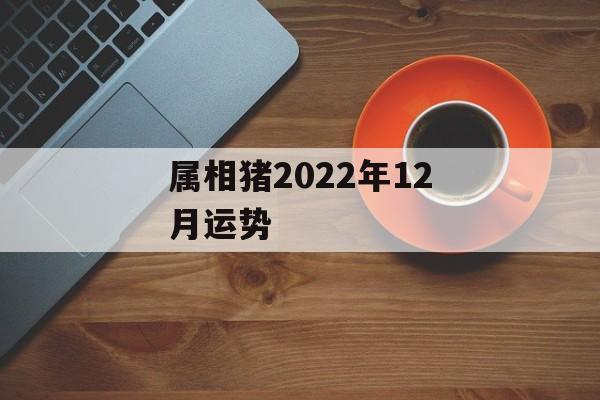 属相猪2024年12月运势