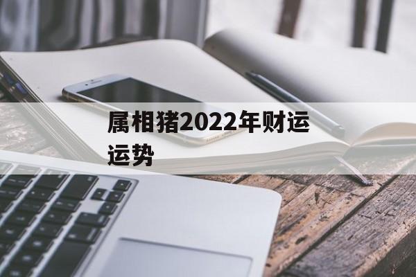 属相猪2024年财运运势