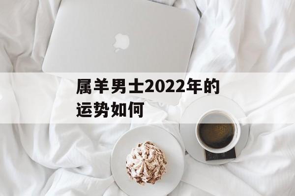 属羊男士2024年的运势如何