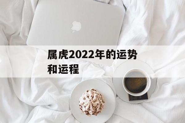 属虎2024年的运势和运程