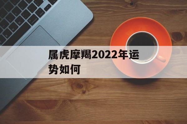 属虎摩羯2024年运势如何