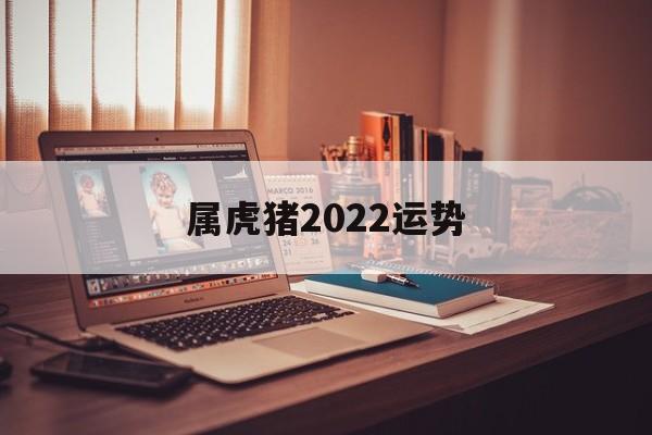 属虎猪2024运势