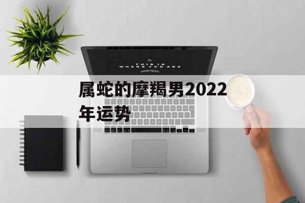 属蛇的摩羯男2024年运势