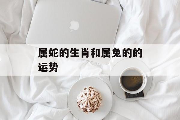 属蛇的生肖和属兔的的运势