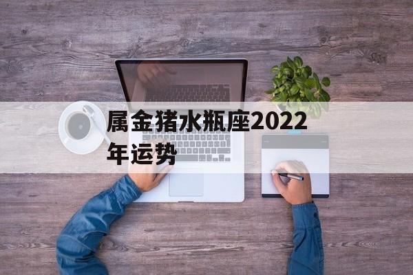 属金猪水瓶座2024年运势