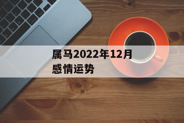 属马2024年12月感情运势