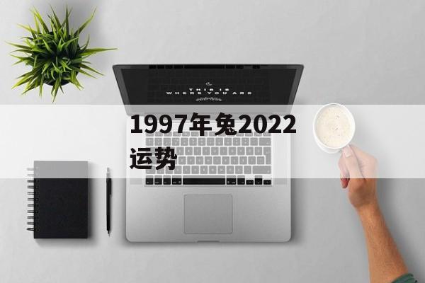 1997年兔2024运势