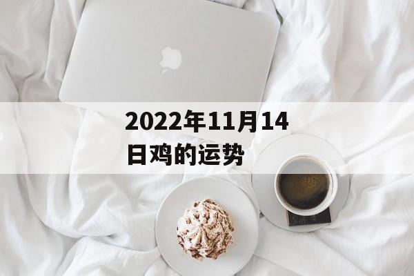 2024年11月14日鸡的运势