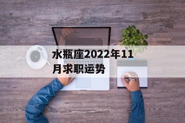 水瓶座2024年11月求职运势