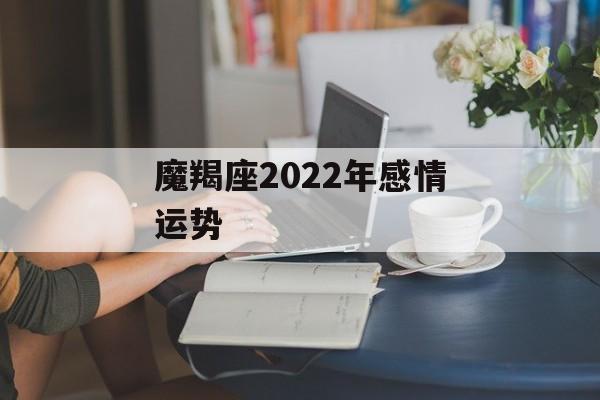 魔羯座2024年感情运势