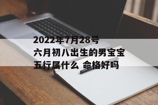 2024年7月28号六月初八出生的男宝宝五行属什么 命格好吗