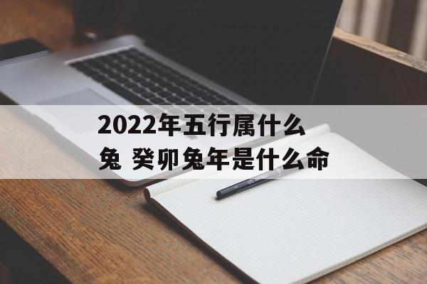 2024年五行属什么兔 癸卯兔年是什么命