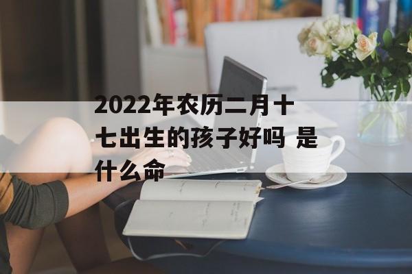 2024年农历二月十七出生的孩子好吗 是什么命