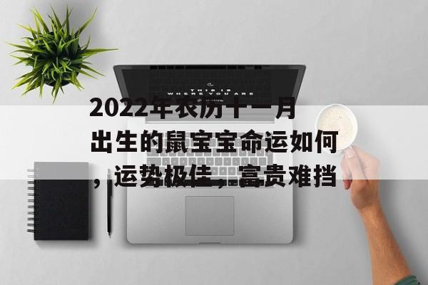 2024年农历十一月出生的鼠宝宝命运如何，运势极佳，富贵难挡